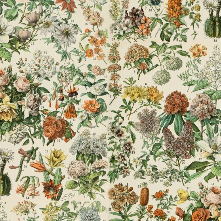 Orange Botanical Canvas - Orange || Palette Canvas || Tim Holtz Eclectic Elements