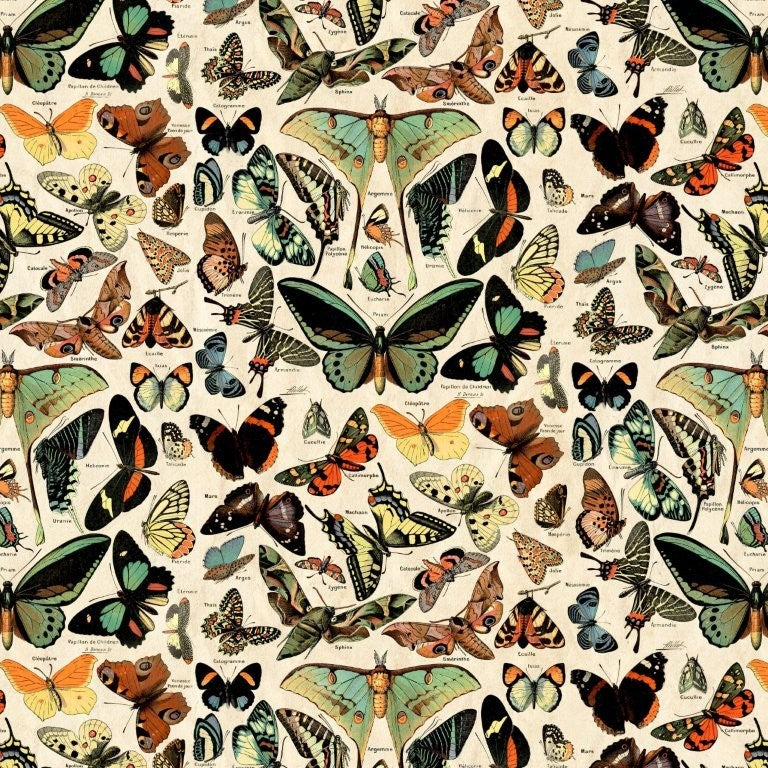 Teal Butterflies Canvas - Teal || Palette Canvas || Tim Holtz Eclectic Elements