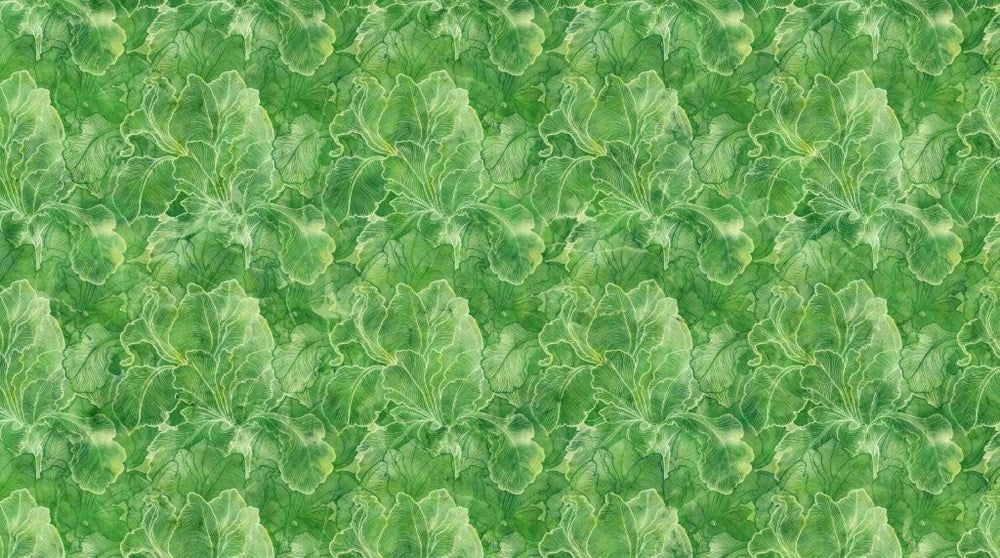IRIS TEXTURE - Green  || INFATUATION || Northcott Studio
