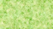 TONAL TEXTURE - Green  || INFATUATION || Northcott Studio