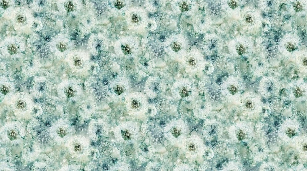 Packed Seed Pods - MD TEAL MULTI || WHISPER || Northcott Studio