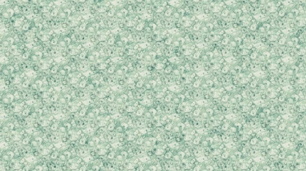Seed Pod Mini - SAGE MULTI || WHISPER || Northcott Studio