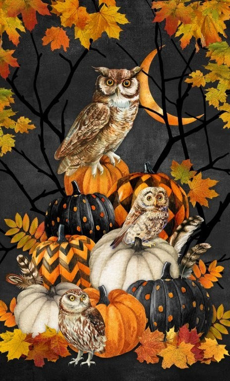 Panel - CHARCOAL MULTI || NIGHT OWL || Northcott Studio