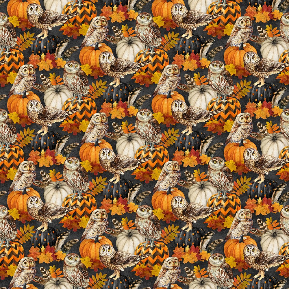 Owl &amp; Feathers - CHARCOAL MULTI || NIGHT OWL || Northcott Studio