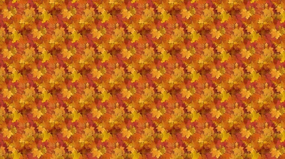 Leaves - ORANGE MULTI || NIGHT OWL || Northcott Studio