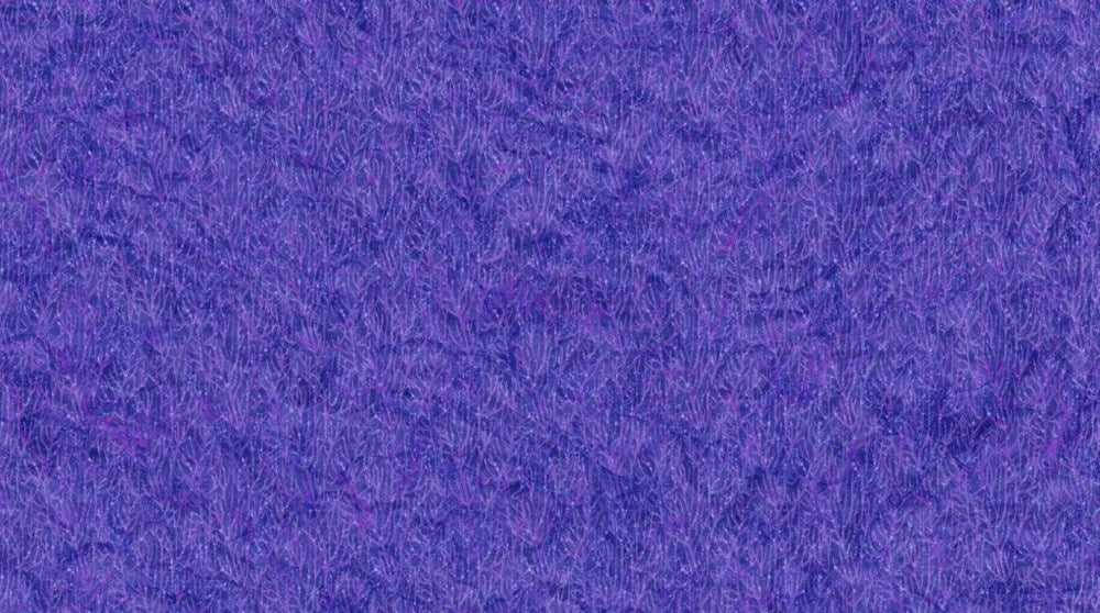 Tonal Coral - PURPLE || CORAL REEF || Northcott Studio