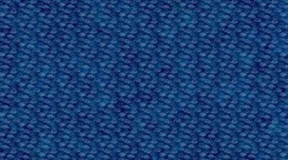 Fish Blender - NAVY || CORAL REEF || Northcott Studio