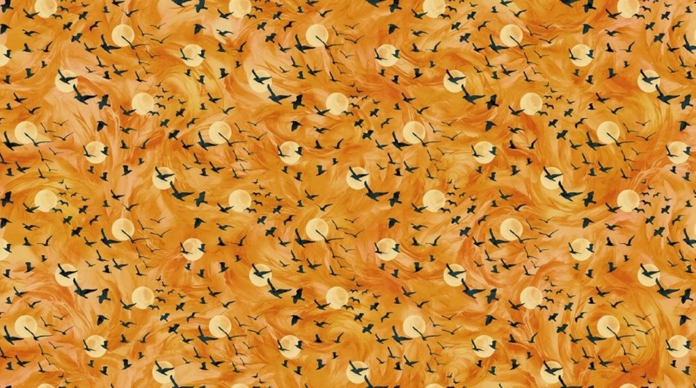 Flying Ravens - ORANGE || RAVEN&#39;S CALL || Northcott Studio