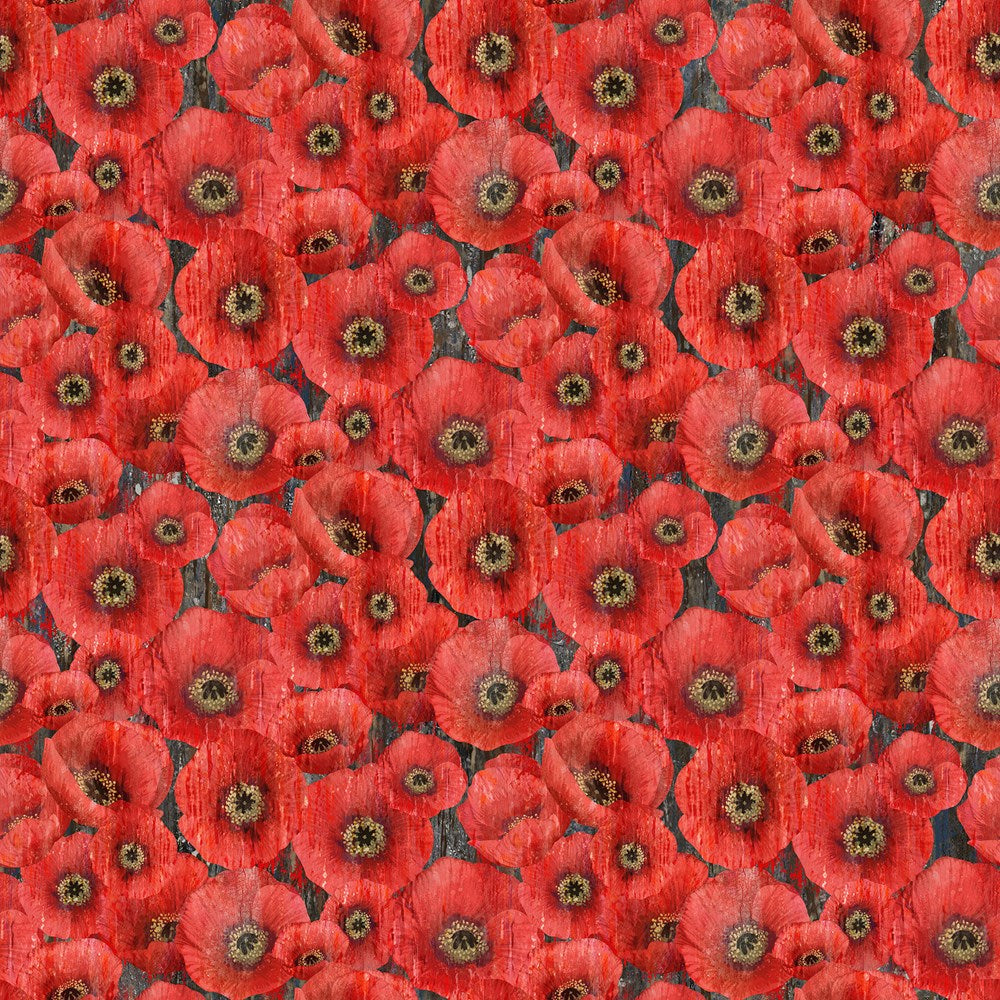 Packed Poppy - CHARCOAL MULTI || POPPY MEADOW || Northcott Studio