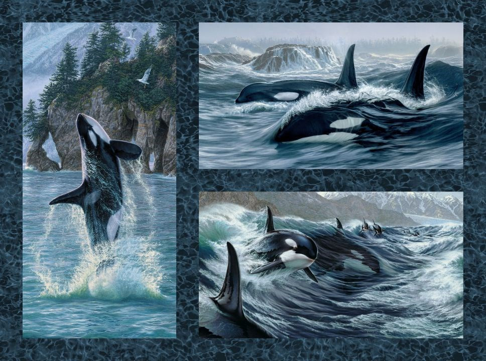 Orca Panel - BLUE MULTI || NATURESCAPES VOYAGE || Northcott Studio