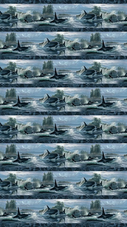 Border Stripe - BLUE MULTI || NATURESCAPES VOYAGE || Northcott Studio