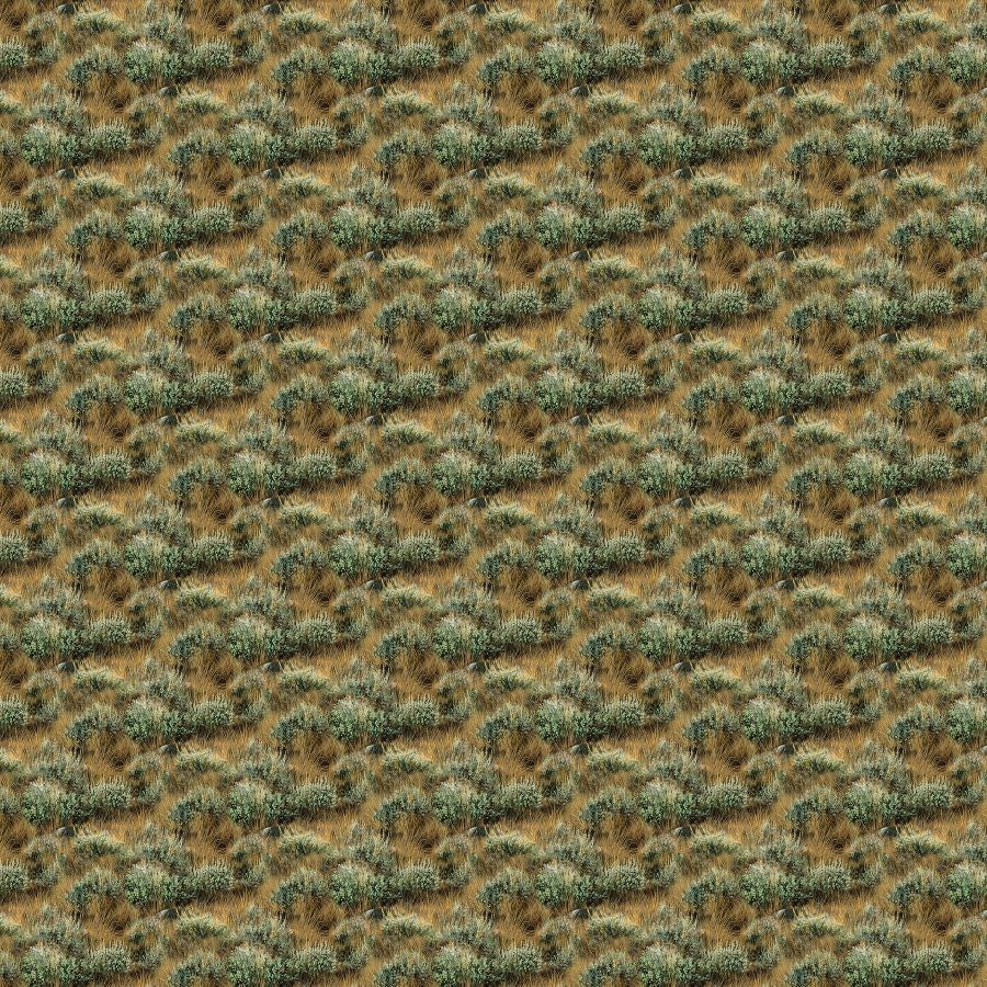 Grass - GREEN || GRAND PRAIRIE NATURESCAPES || Northcott Studio
