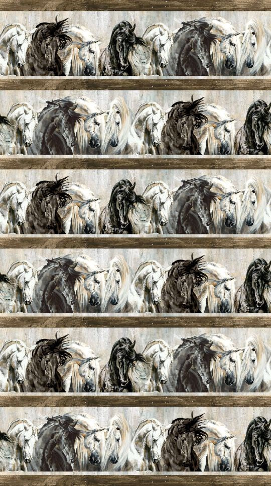 Border Stripe - BROWN MULTI || SHADOW & LIGHT || Northcott Studio