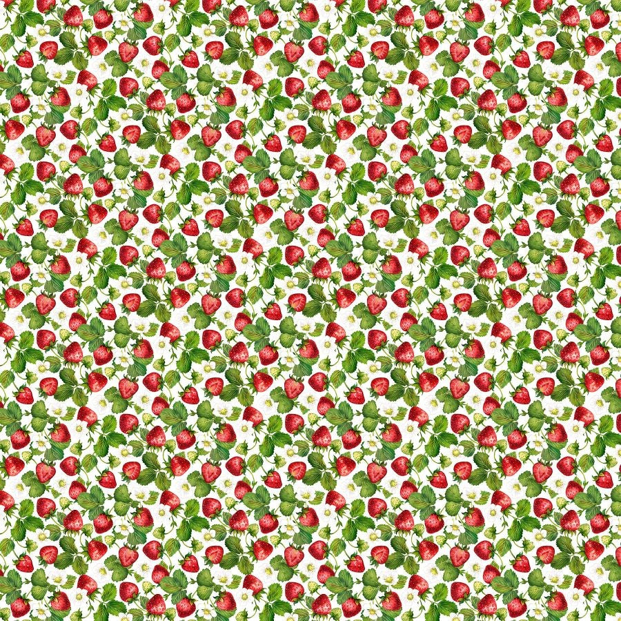 Strawberries - WHITE MULTI || WELL PRESERVED || Northcott Studio
