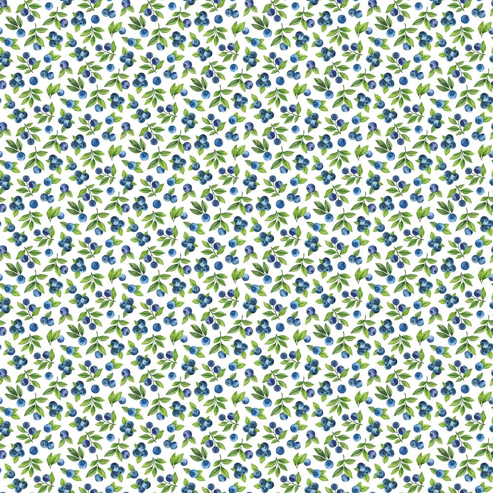 Blueberry Toss - WHITE MULTI || WELL PRESERVED || Northcott Studio
