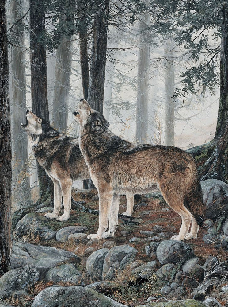 Wolf Panel - LT GRAY MULTI || NATURESCAPES GUARDIANS || Northcott Studio