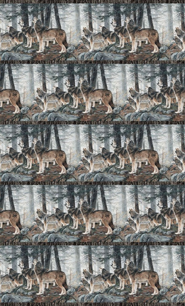 Border Stripe - LT GRAY MULTI || NATURESCAPES GUARDIANS || Northcott Studio