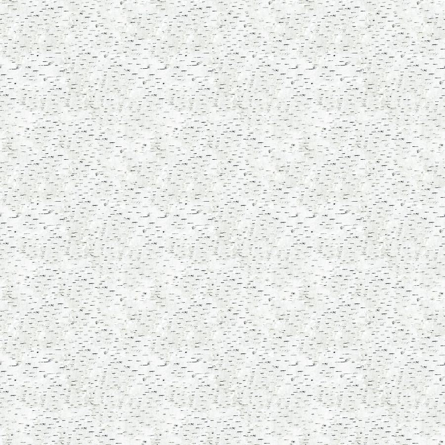 Birch - WHITE/GRAY || NATURESCAPES GUARDIANS || Northcott Studio