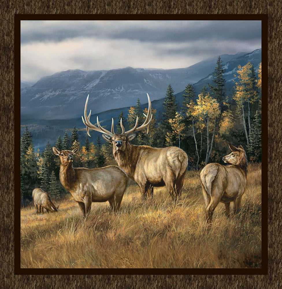 Panel - BROWN MULTI || HIGHLAND RIDGE || Northcott Studio
