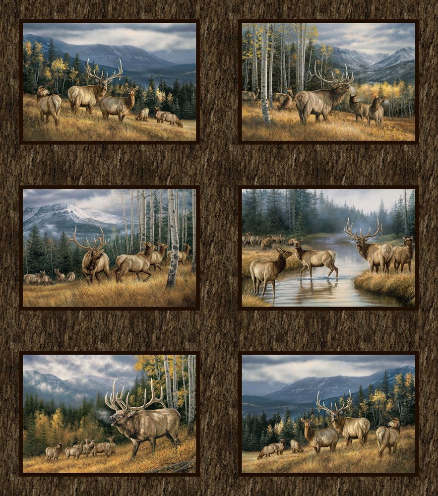 Blocks - BROWN MULTI || HIGHLAND RIDGE || Northcott Studio