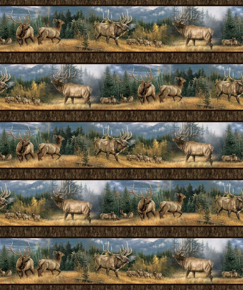 Border Stripe - BROWN MULTI || HIGHLAND RIDGE || Northcott Studio