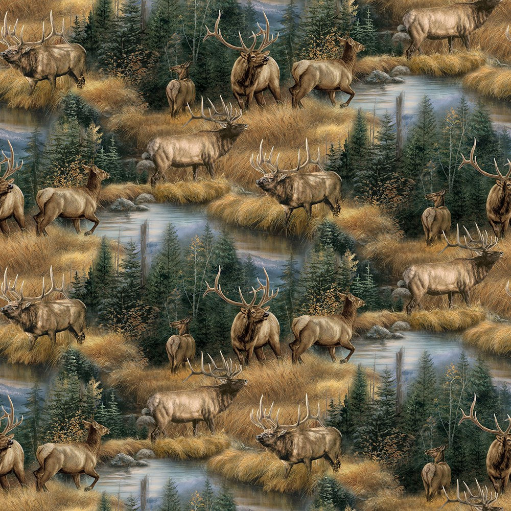 Scenic - OCHRE MULTI || HIGHLAND RIDGE || Northcott Studio