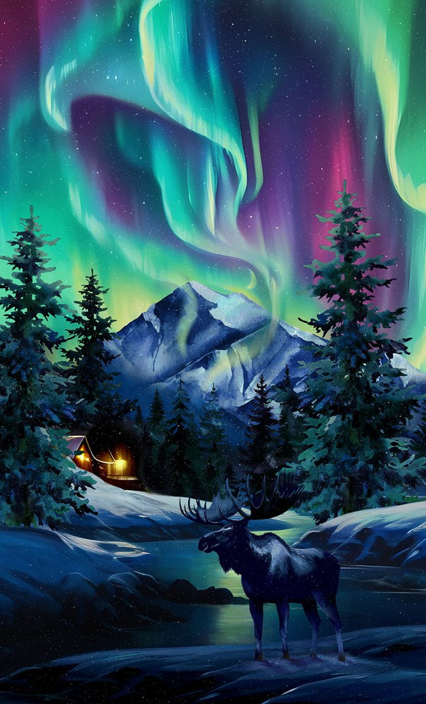 Aurora Panel - Midnight Multi || DANCING LIGHTS || Northcott Studio