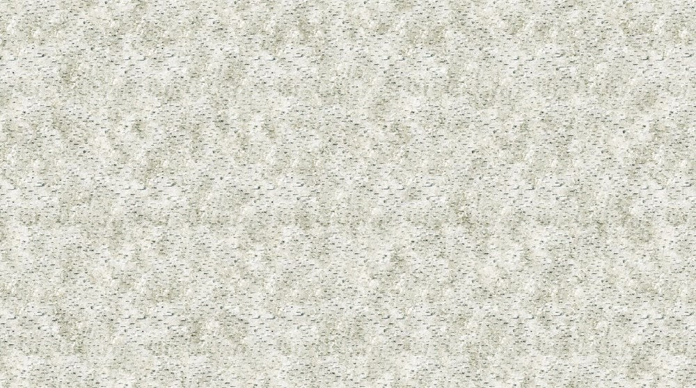 Birch Texture - TAUPE || STONEHENGE EVENING SONG || Northcott Studio