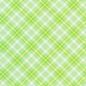 FLHD-24135-50 || LIME || FABRIC MARKET || Robert Kaufman