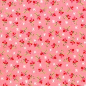 FLHD-24136-96 || BLUSH || FABRIC MARKET || Robert Kaufman