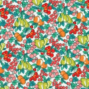 FLHD-24142-256 || RETRO || FABRIC MARKET || Robert Kaufman