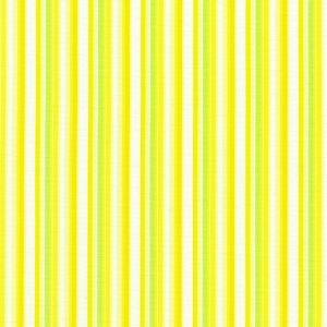 FLHD-24143-134 || CITRUS || FABRIC MARKET || Robert Kaufman