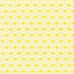 FLHD-24151-130 || SUNSHINE || FABRIC MARKET || Robert Kaufman