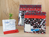 Project Bag Kit  2  -- Zippity-Do-Done Red