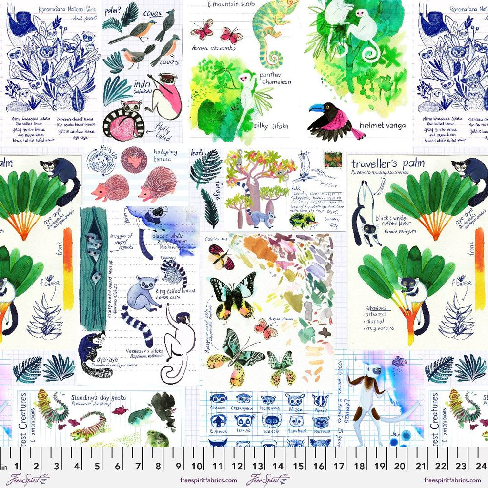 Field Notes - Multi II Madagascar Adventure II Daughter Earth / Katy Tanis