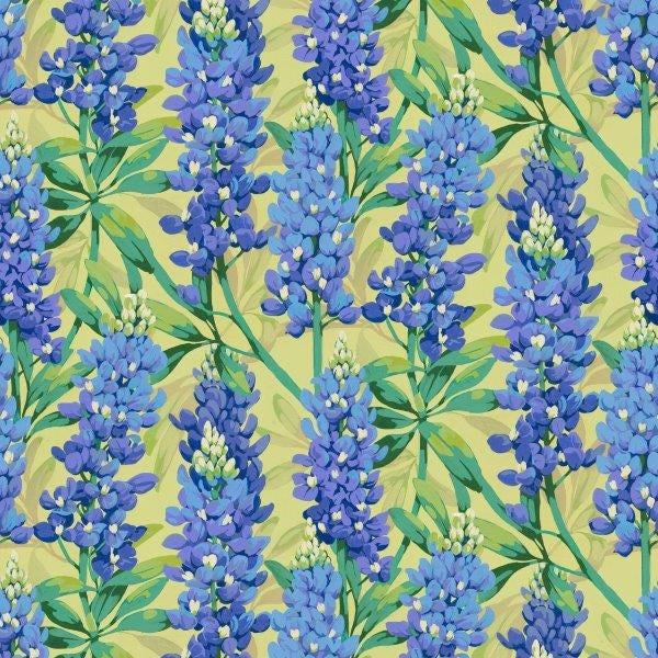 BLUE || Nation of Flowers  || Martha Negley