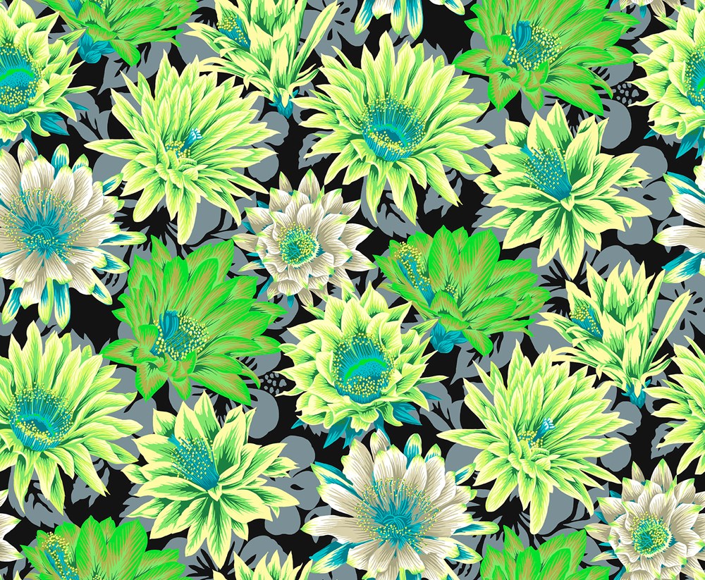 Cactus Flower - Contrast II Classics II Kaffe Fassett Collective