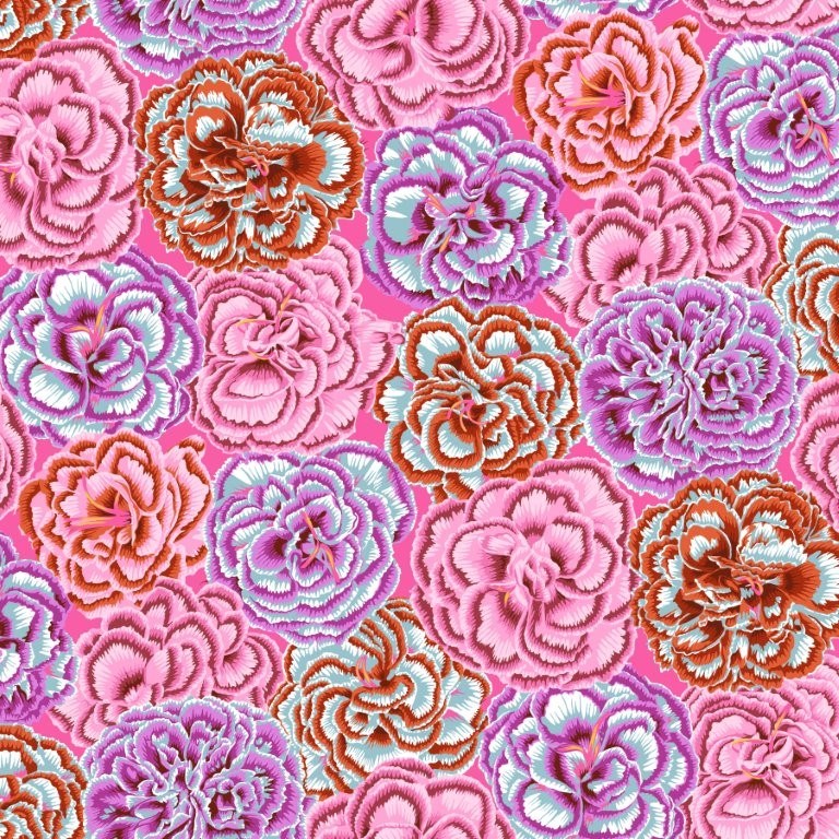 Picotee Carnations - Pink || August 2025 || Philip Jacobs