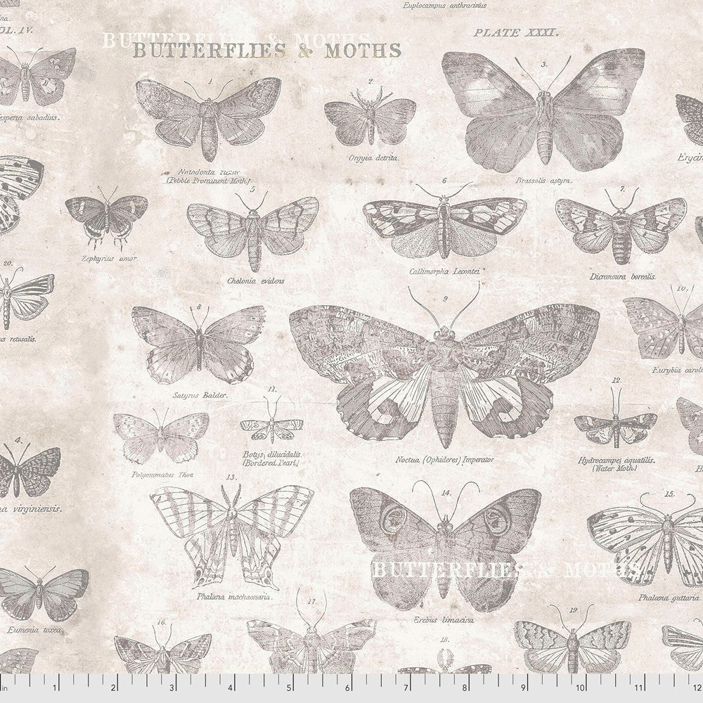 Butterflies - Parchment II Monochrome II Tim Holtz