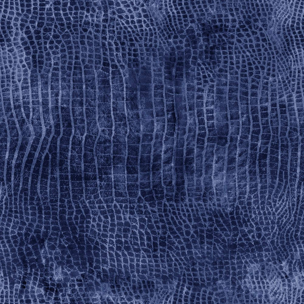 Worn Croc - Moonlit II Worn Croc II Tim Holtz