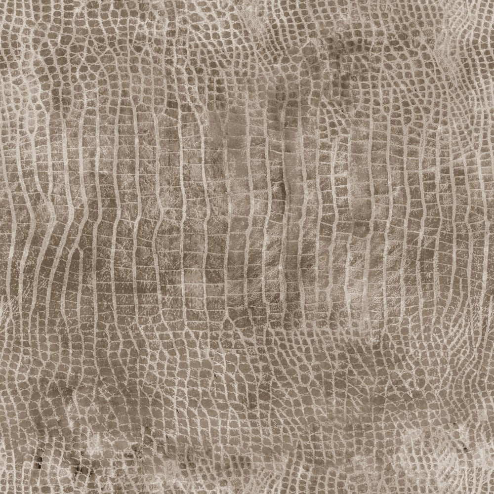 Worn Croc - Pebble II Worn Croc II Tim Holtz