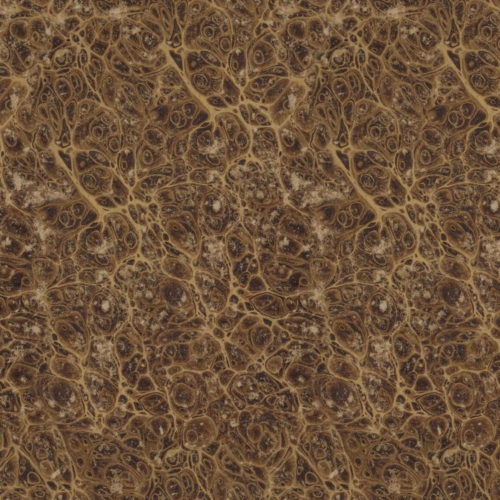 Neutral Marble - Neutral || Palette Curated || Tim Holtz Eclectic Elements