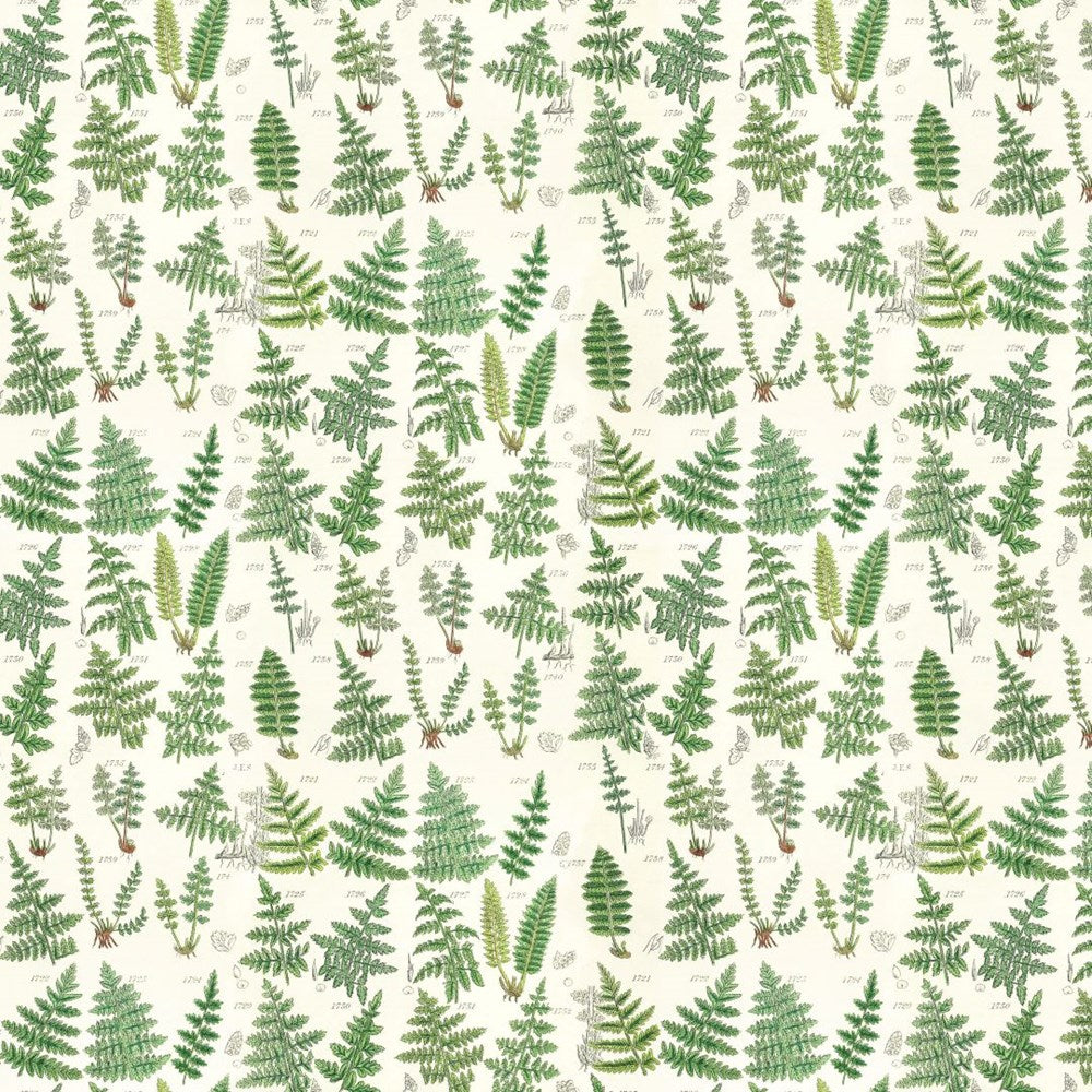 Green Ferns - Green || Palette Curated || Tim Holtz Eclectic Elements