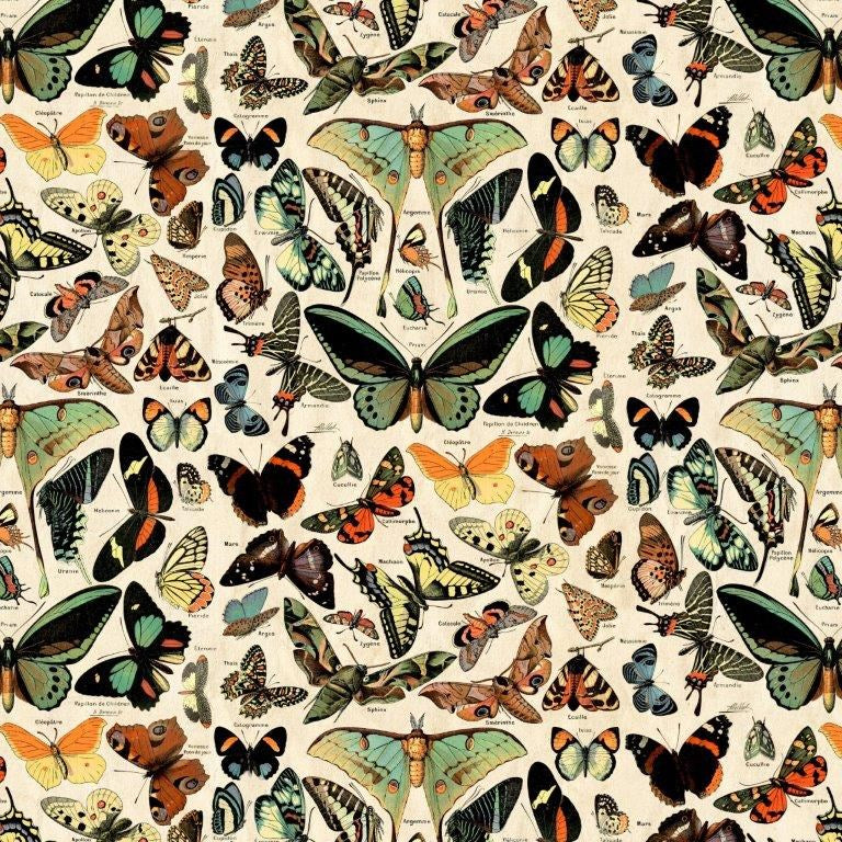 Teal Butterflies - Teal || Palette (Teal) || Tim Holtz