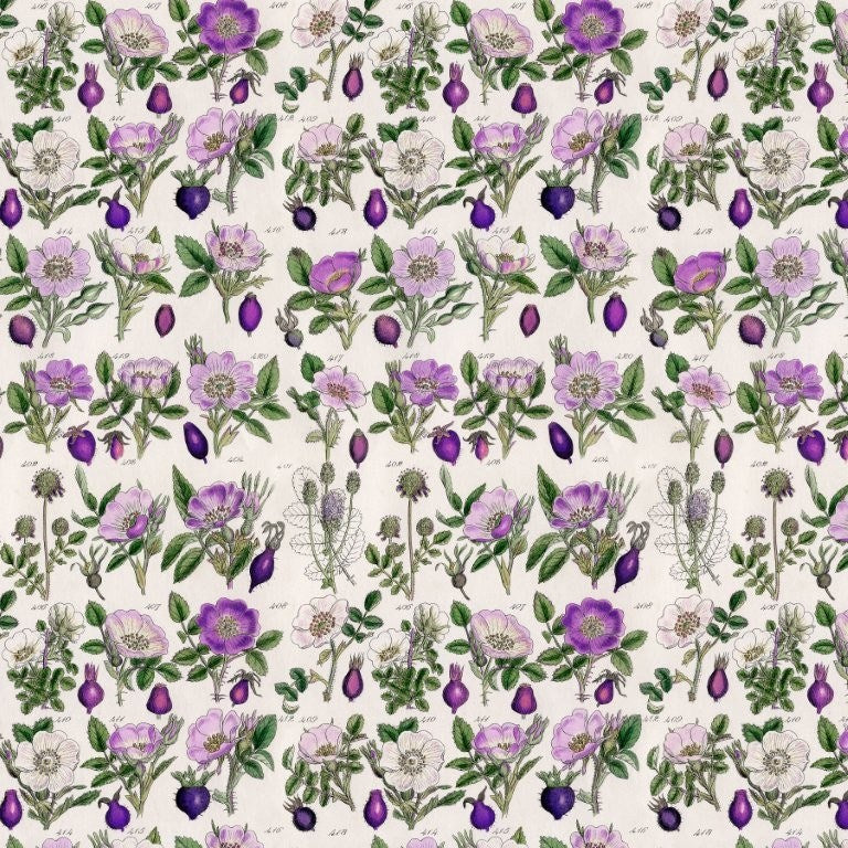 Purple Botanical - Purple || Palette [Purple] || Tim Holtz Eclectic Elements