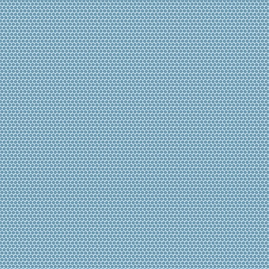 DIANTHUS - BLUE || DELIGHT || FIGO Studio