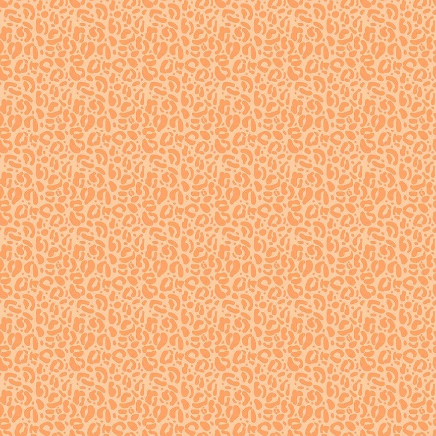 WILD - WILD || APRICOT || Dear Stella
