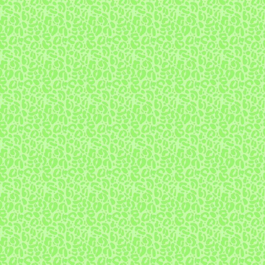 WILD - WILD || KIWI || Dear Stella