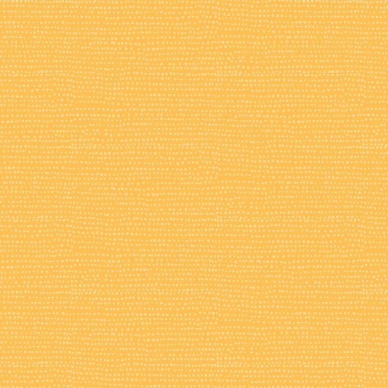 MOONSCAPE - MOONSCAPE || FREESIA || Dear Stella