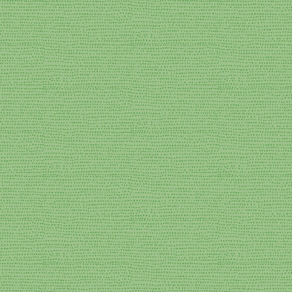 MOONSCAPE - MOONSCAPE || KIWI || Dear Stella